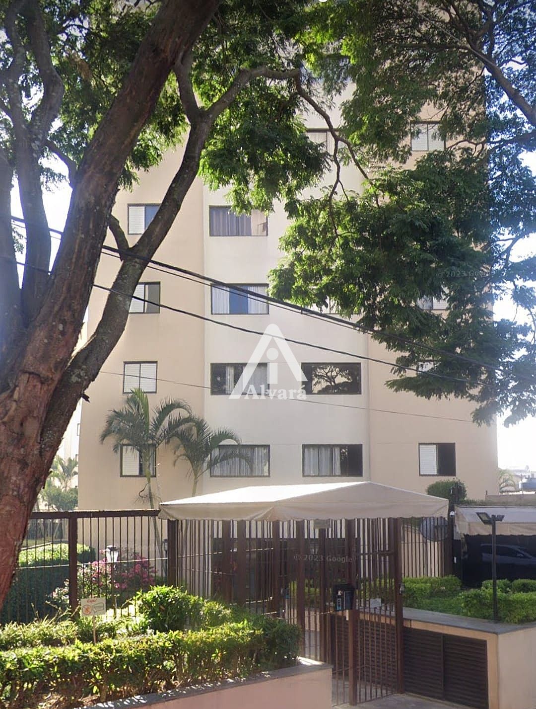 Apartamento So Paulo  Vila Mangalot  Condomnio Edifcio Das Camlias