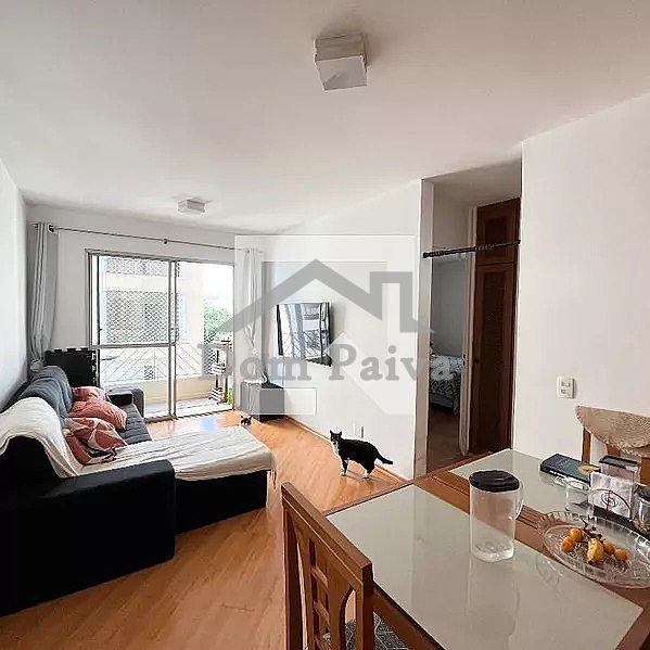 Apartamento&nbsp;S�o Paulo &nbsp;Vila Monte Alegre &nbsp;Condominio Plaza Royale - Vila Monte Alegre