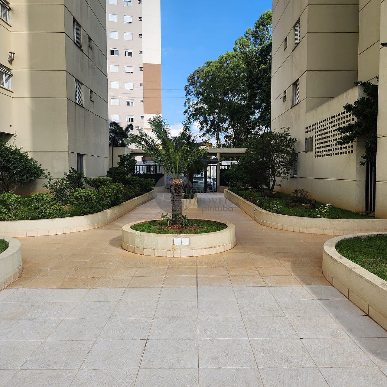 Apartamento So Paulo  Jardim Cidade Pirituba  