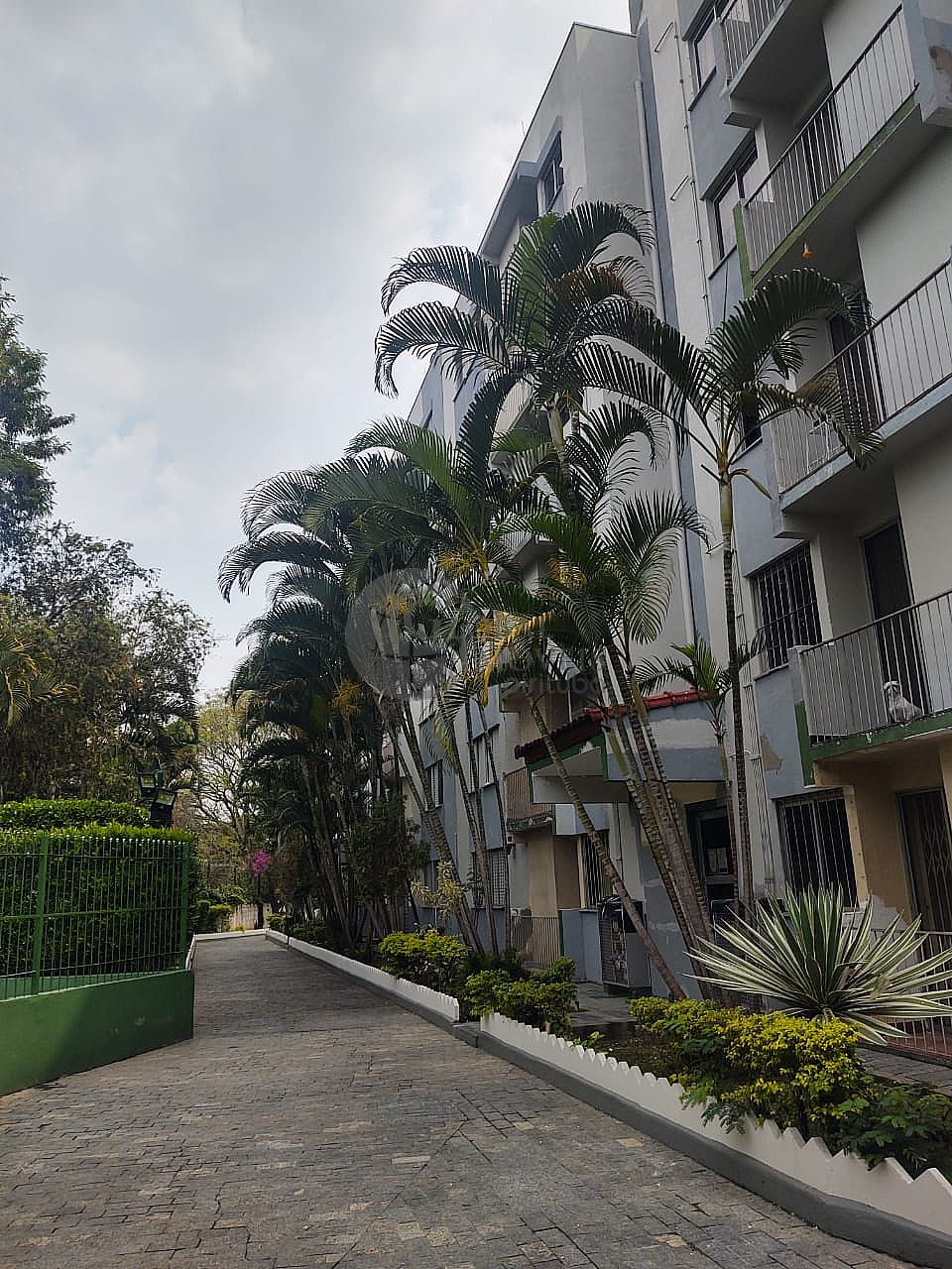 Apartamento São Paulo  Jardim Santa Mônica  