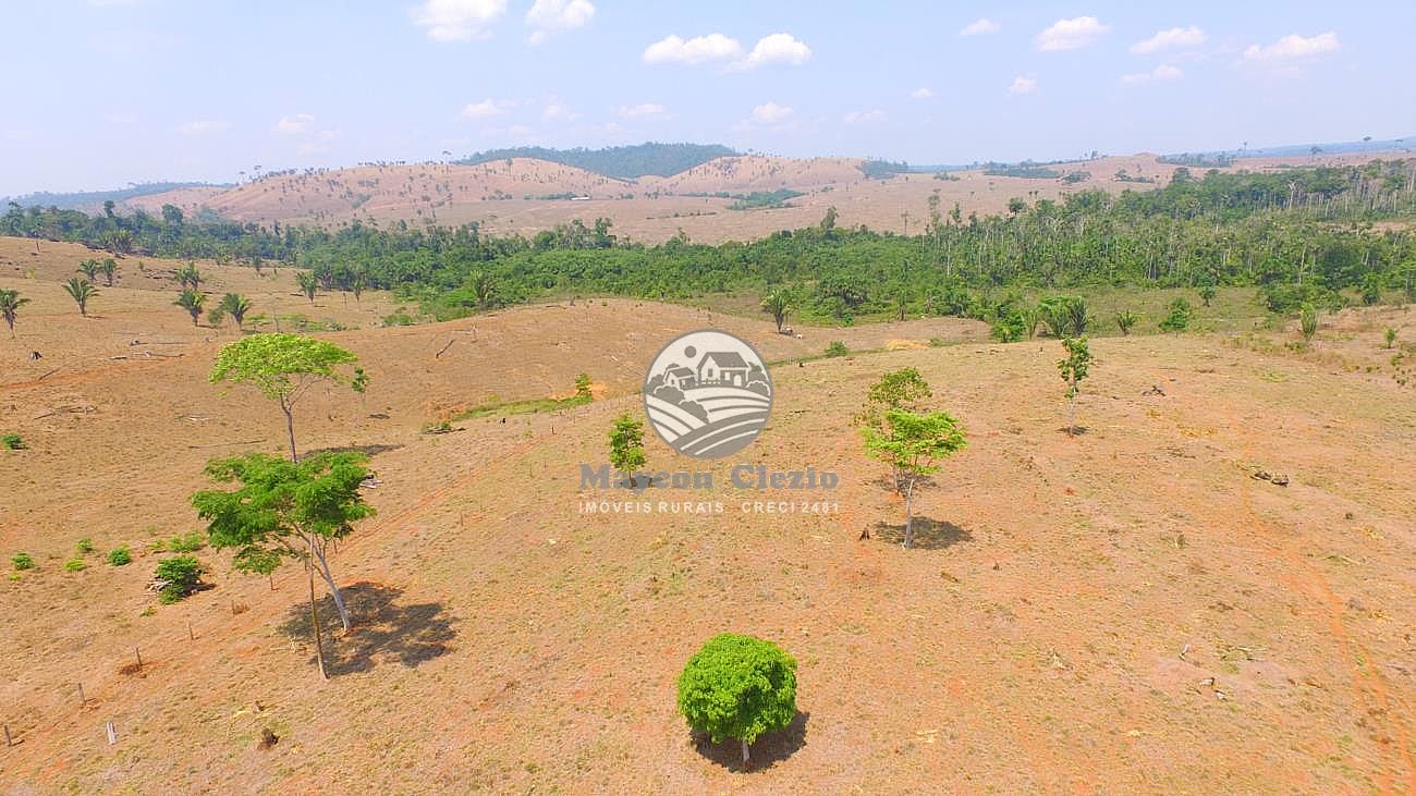 Fazenda à venda, 262000m² - Foto 5