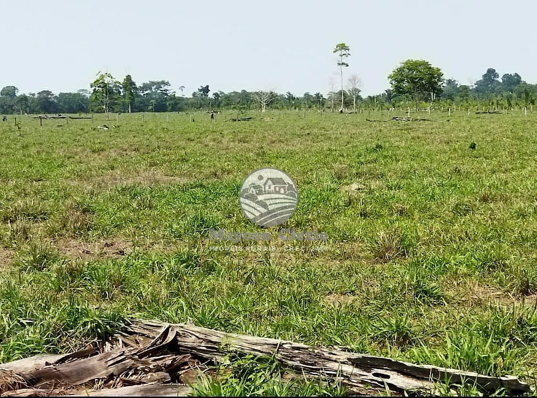 Fazenda à venda, 1060000m² - Foto 12