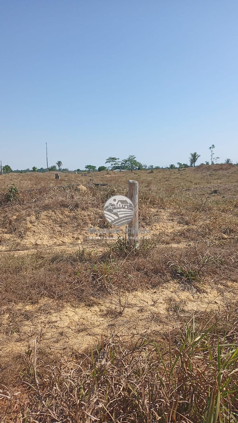 Sítio, 798000 m² - Foto 4