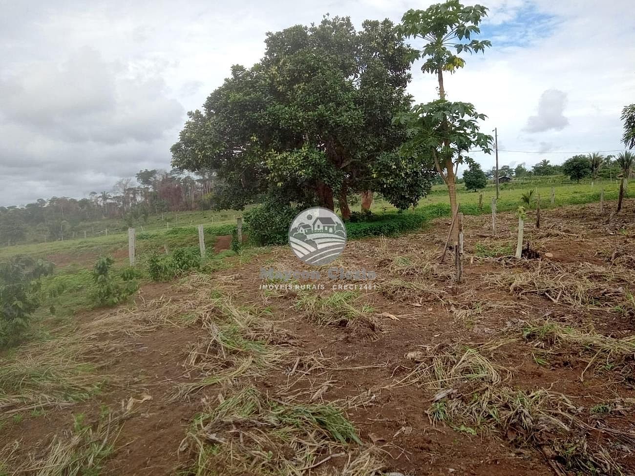 Fazenda à venda, 510000m² - Foto 16