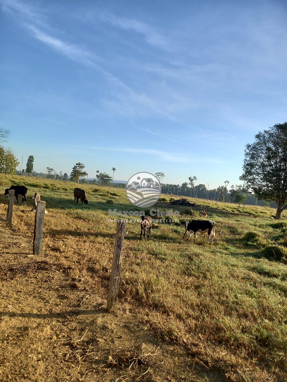 Fazenda à venda, 726000m² - Foto 1