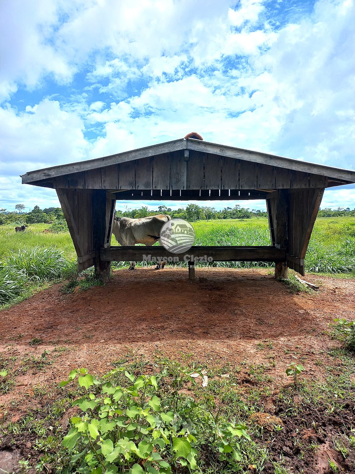 Fazenda à venda, 4590000m² - Foto 12