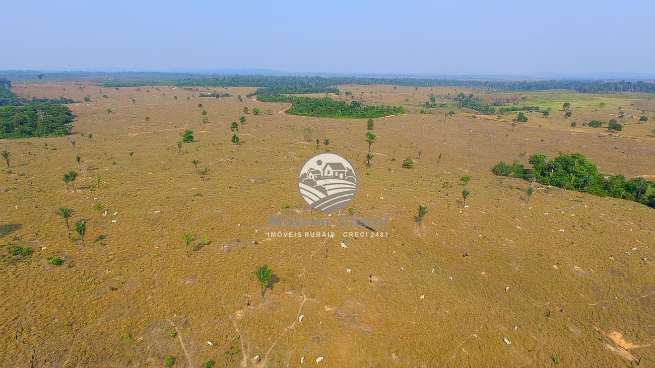 Fazenda à venda, 2100000m² - Foto 13