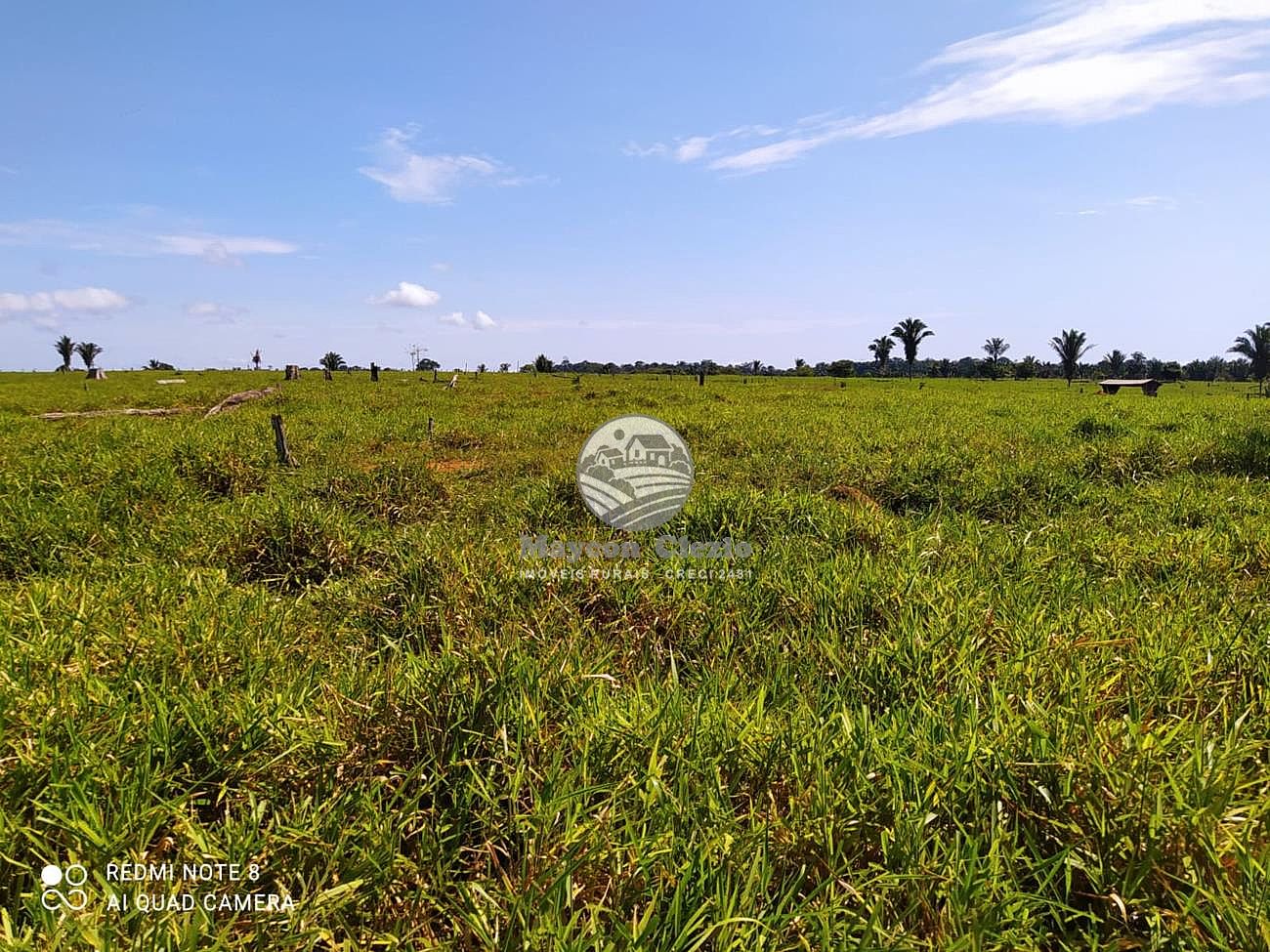 Fazenda à venda, 1016000m² - Foto 6