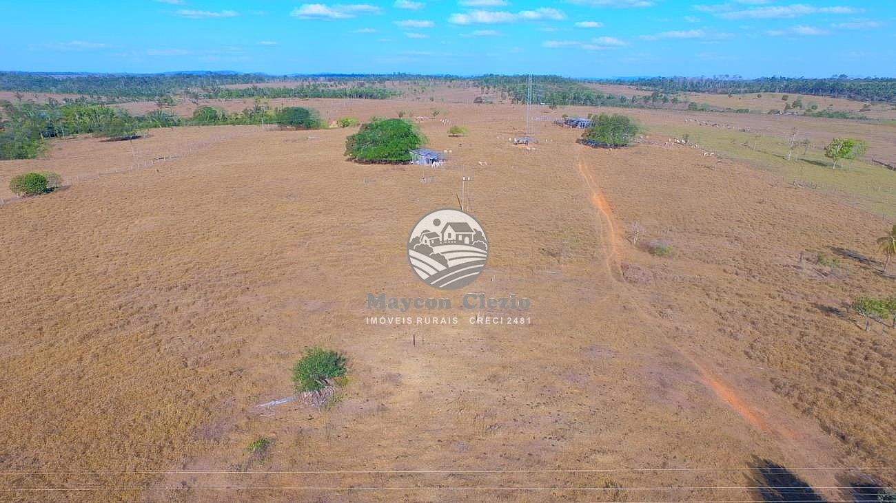 Fazenda-Sítio-Chácara - Foto 5