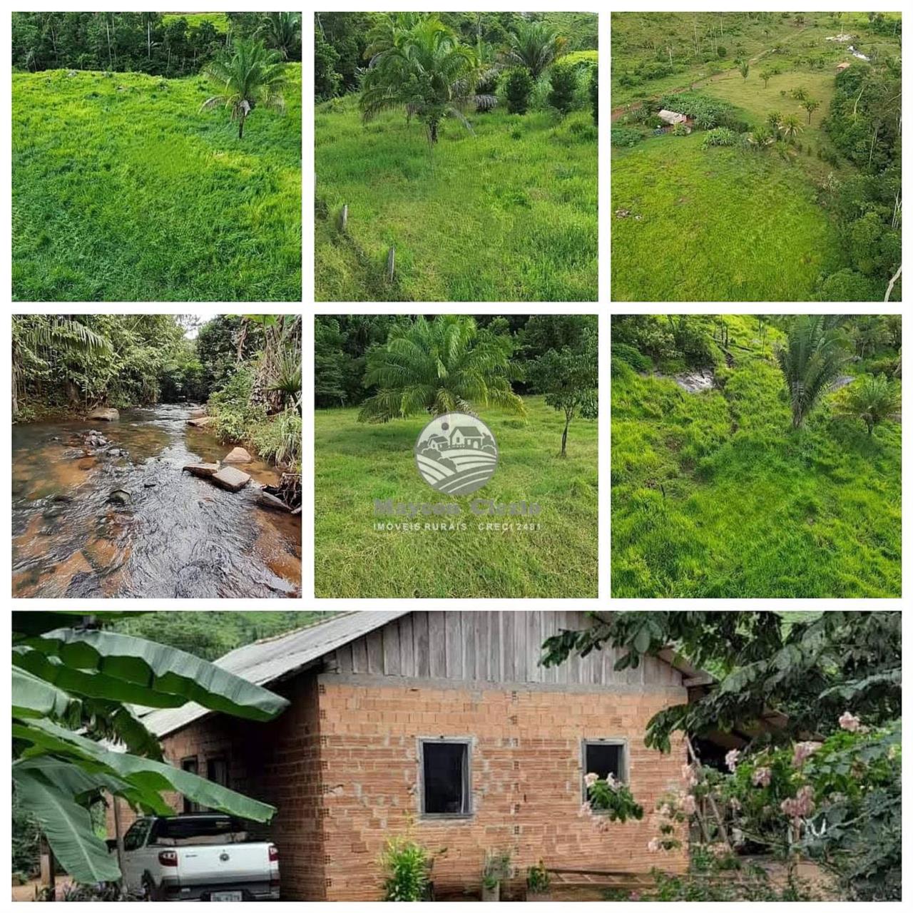 Fazenda-Sítio-Chácara - Foto 1