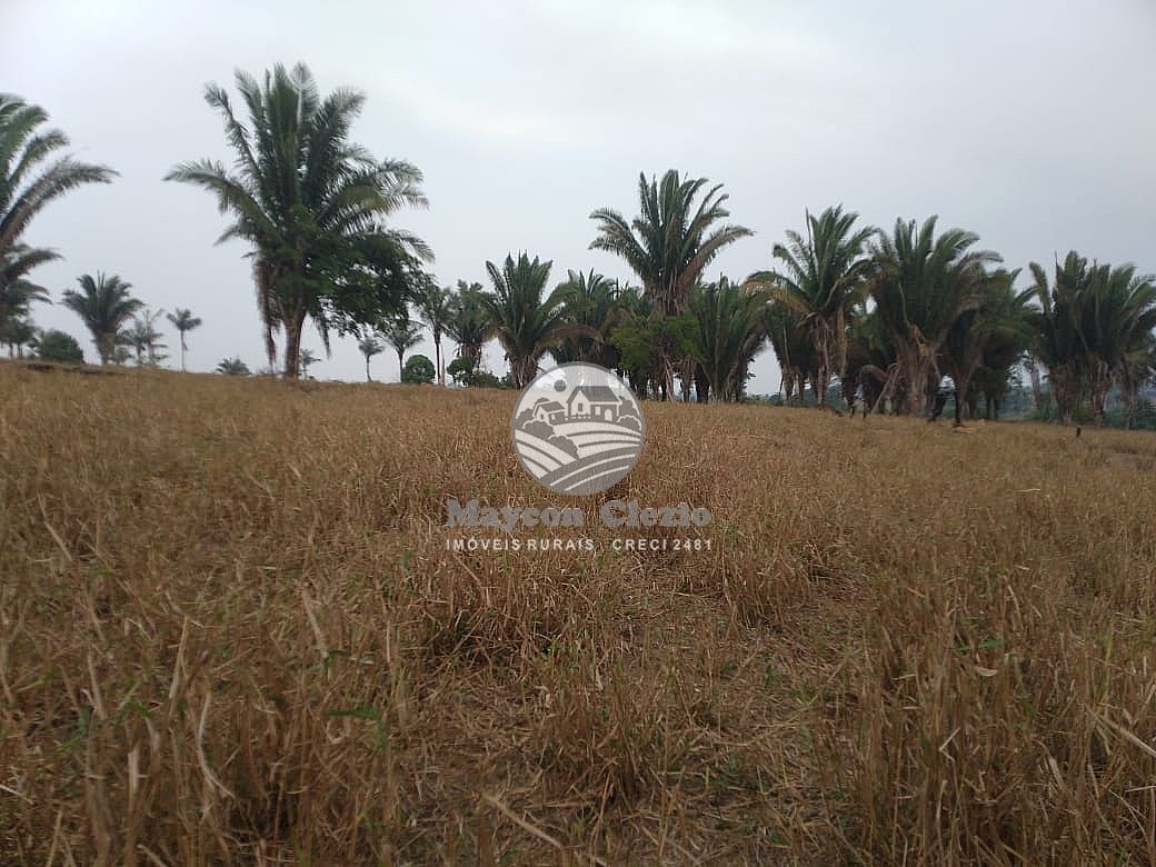 Sítio, 480000 m² - Foto 1