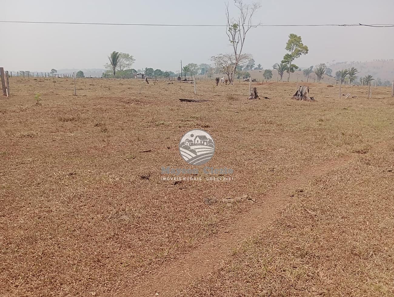 Fazenda-Sítio-Chácara - Foto 2