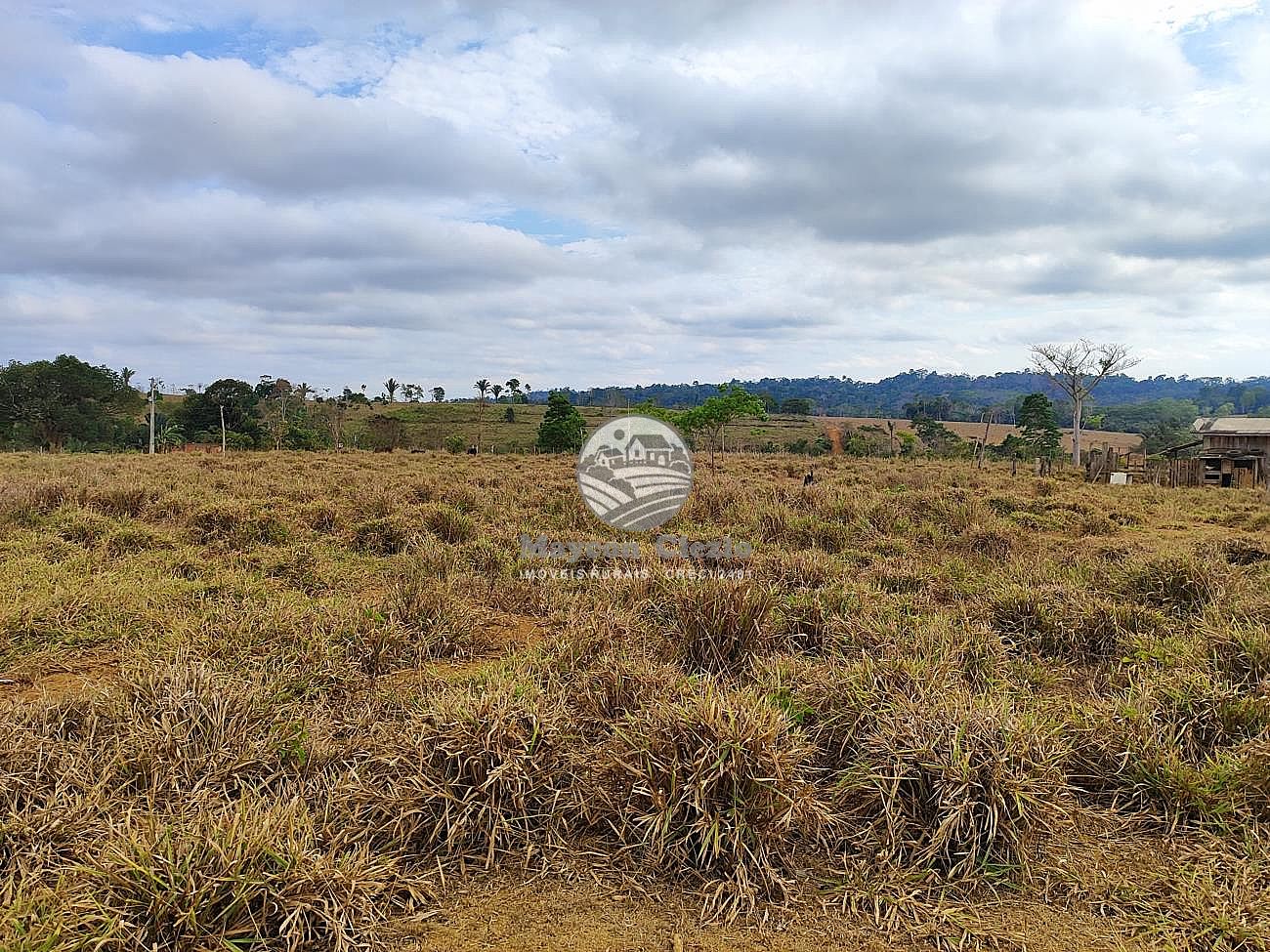 Fazenda-Sítio-Chácara - Foto 2