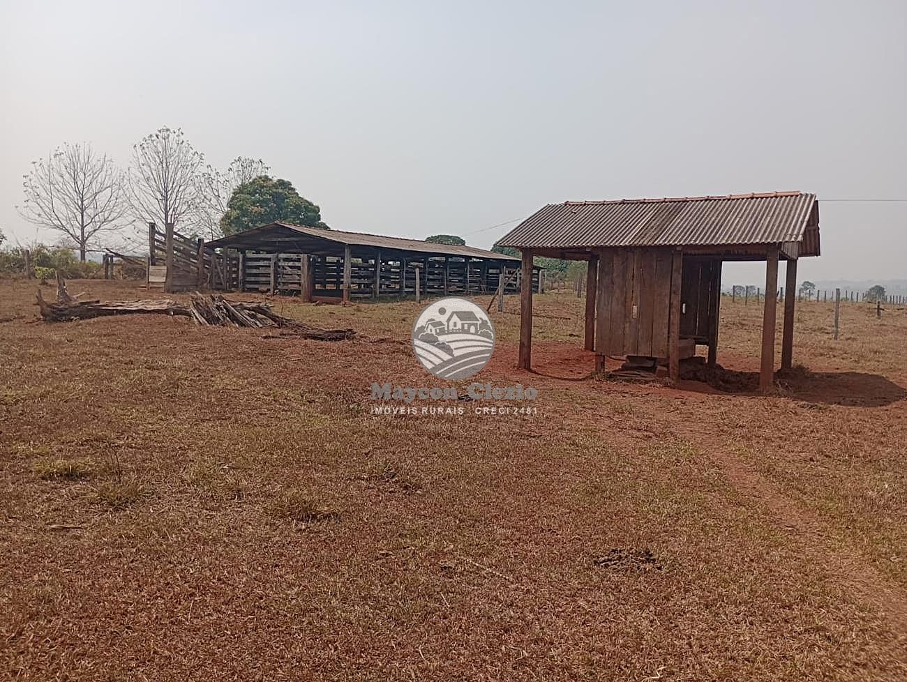 Fazenda-Sítio-Chácara - Foto 5