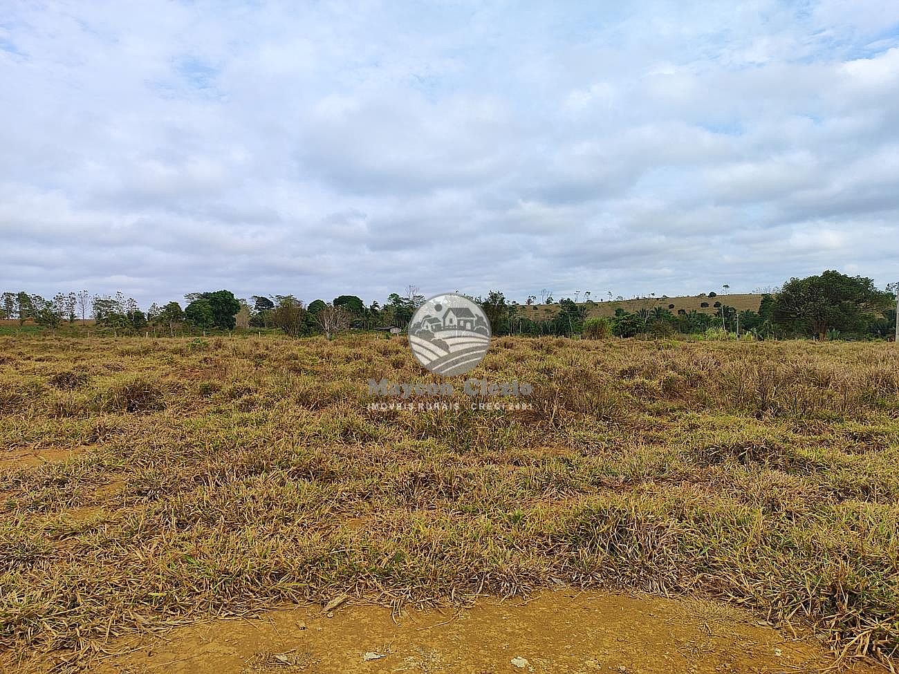 Fazenda-Sítio-Chácara - Foto 3