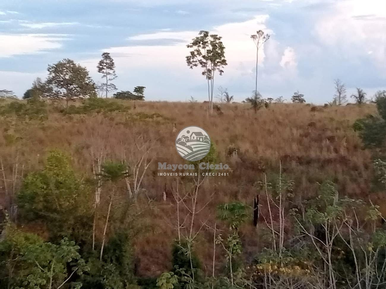 Fazenda à venda, 670000m² - Foto 1