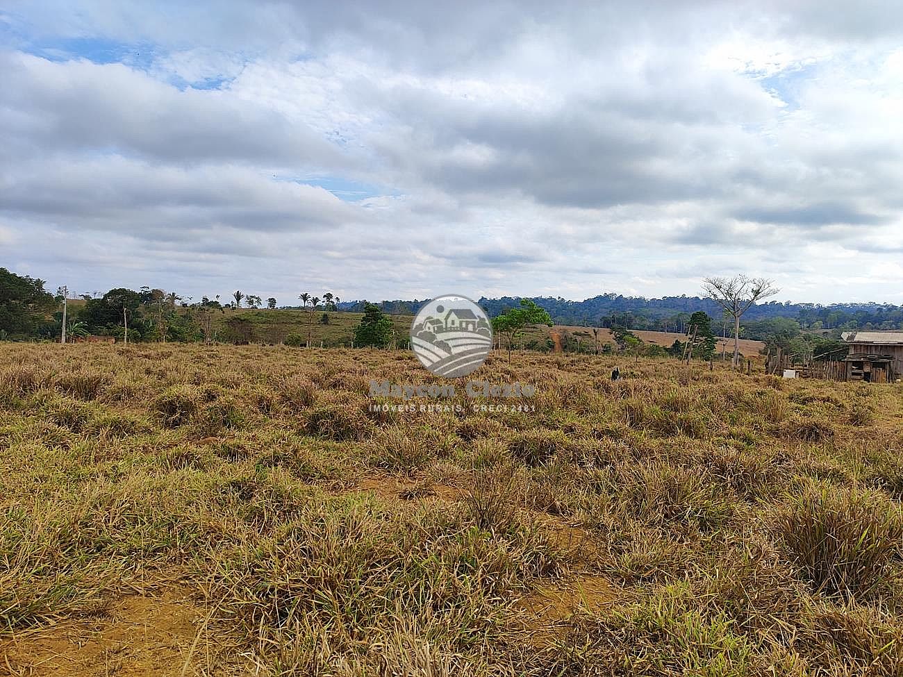 Fazenda-Sítio-Chácara - Foto 4