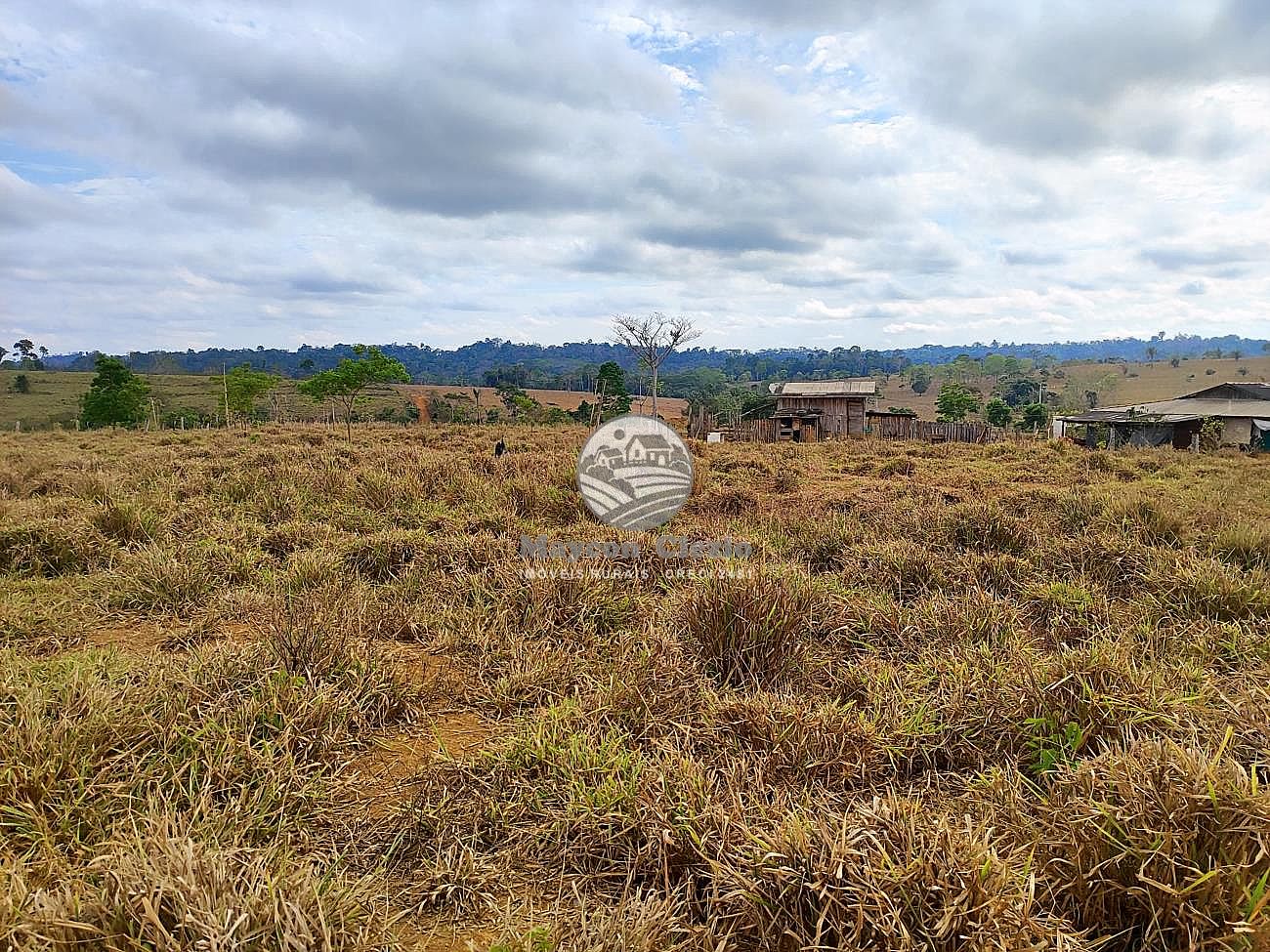 Fazenda-Sítio-Chácara - Foto 5