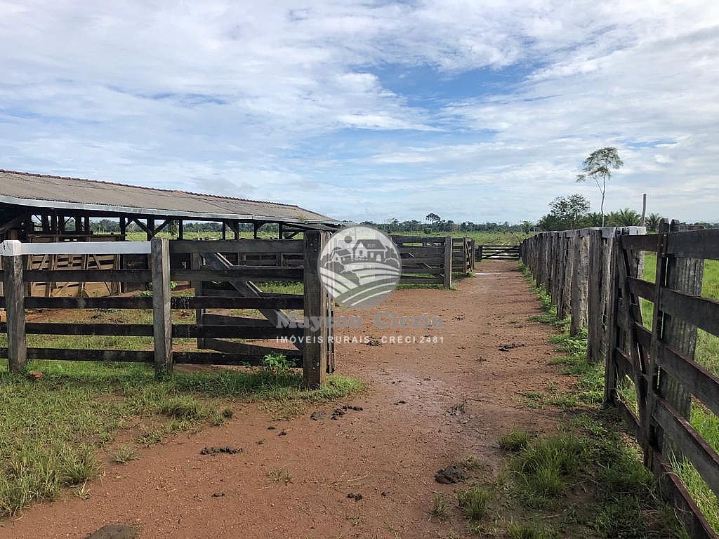 Terreno, 3146000 m² - Foto 3