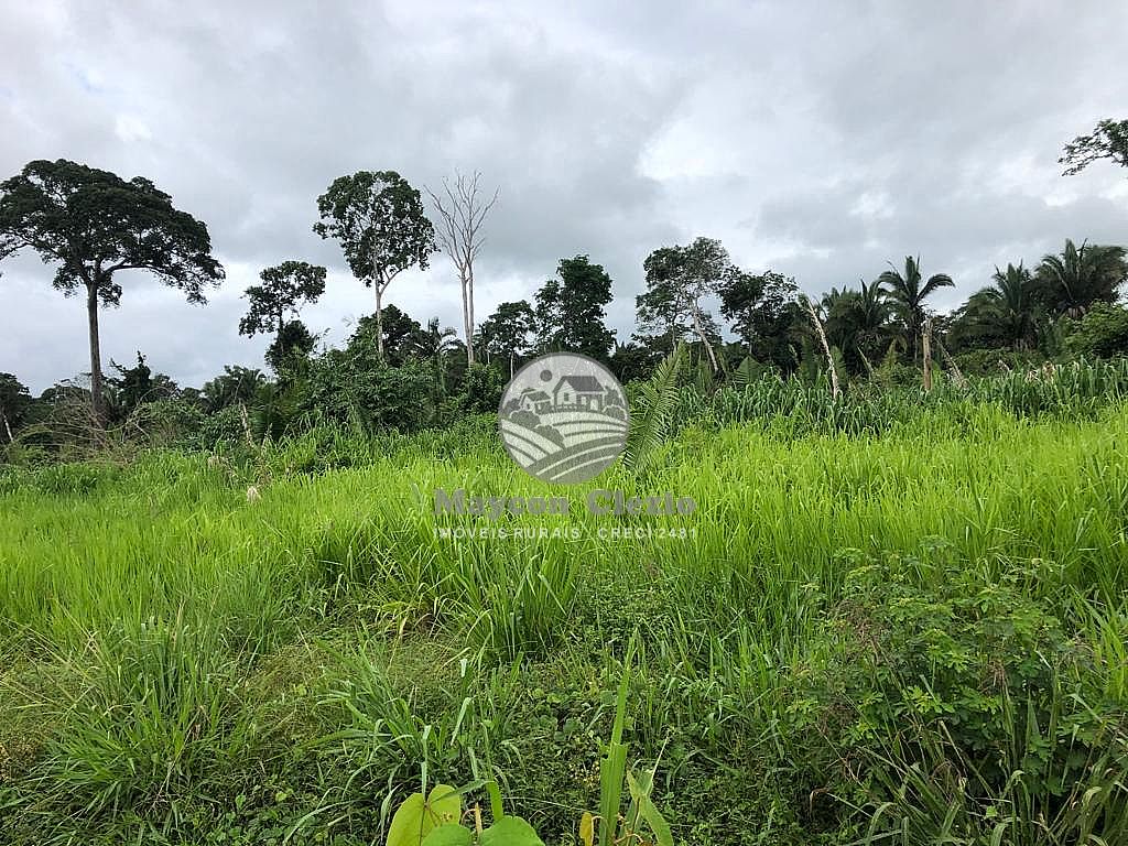 Terreno, 3146000 m² - Foto 5