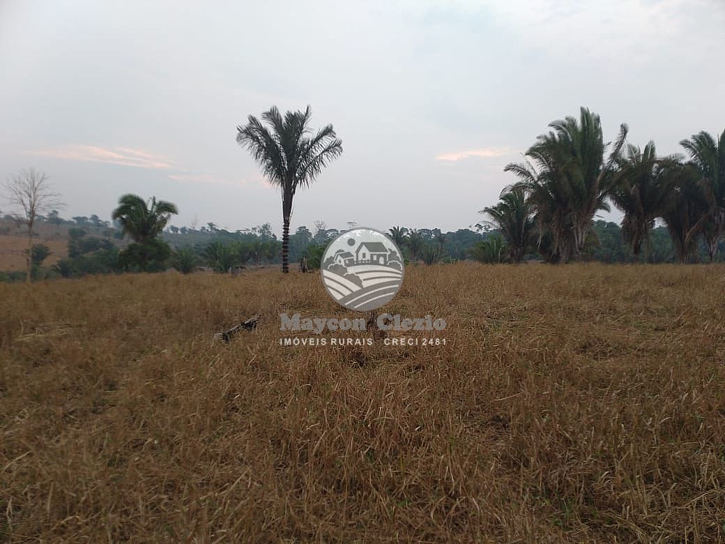 Sítio, 480000 m² - Foto 2