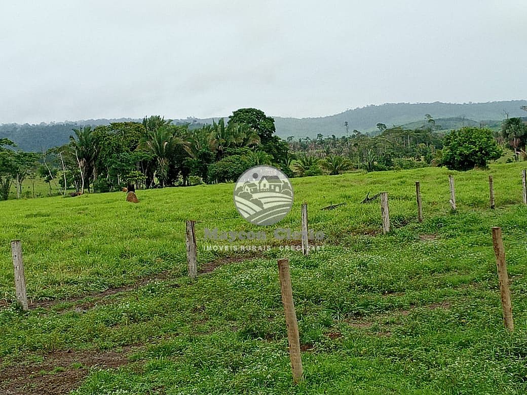 Fazenda à venda, 480000m² - Foto 2