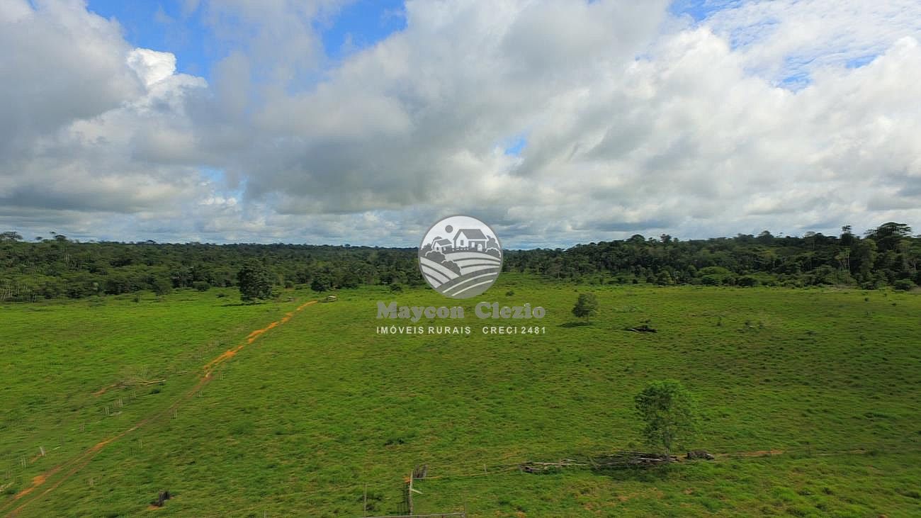 Fazenda à venda, 1570000m² - Foto 8