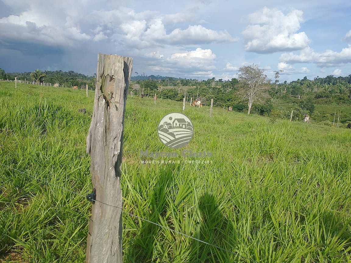 Fazenda à venda, 302500m² - Foto 11