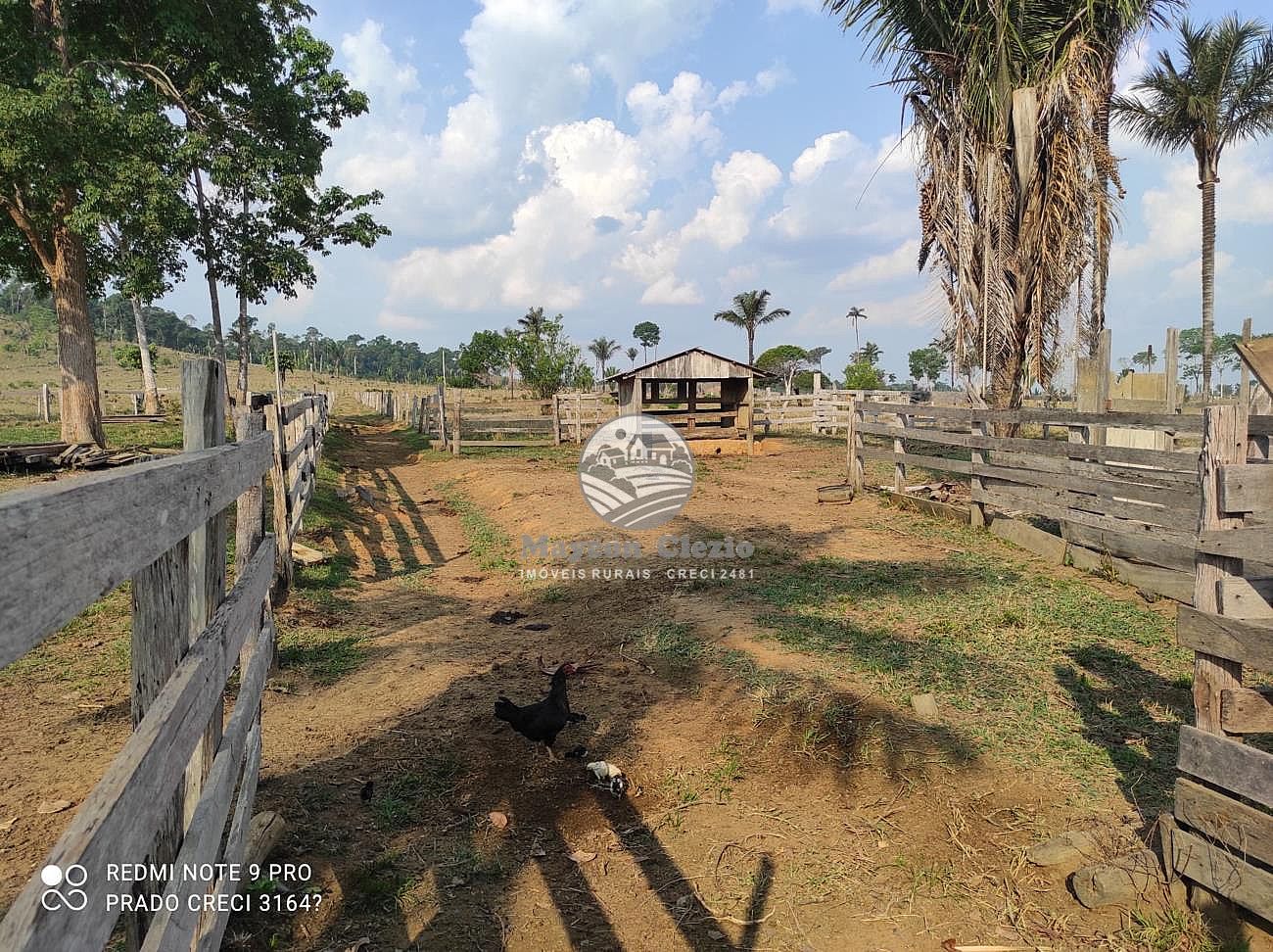 Fazenda à venda, 480000m² - Foto 16