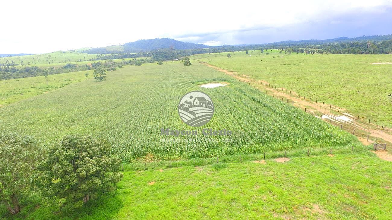 Fazenda à venda, 2320000m² - Foto 25