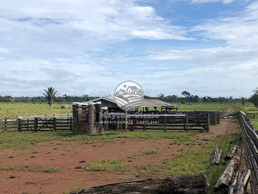 Fazenda à venda, 3146000m² - Foto 15