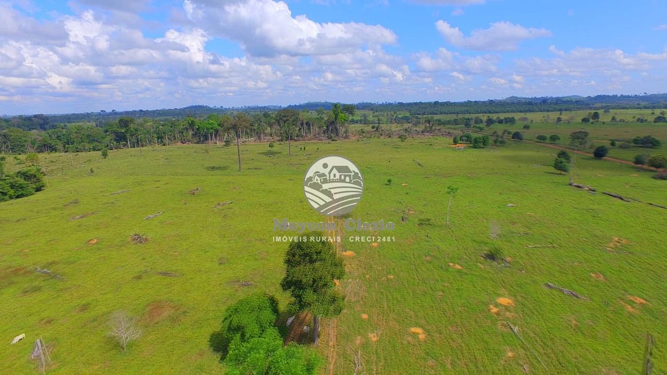 Fazenda à venda, 1180000m² - Foto 4