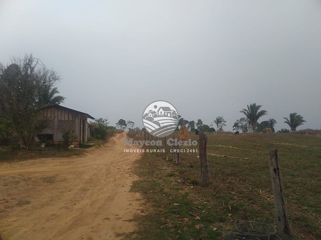 Sítio, 480000 m² - Foto 3