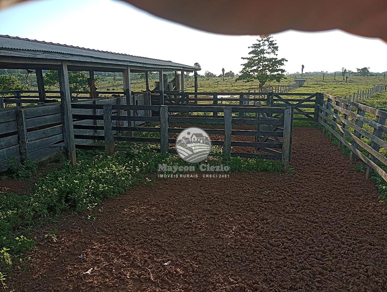 Fazenda-Sítio-Chácara, 5 quartos - Foto 3