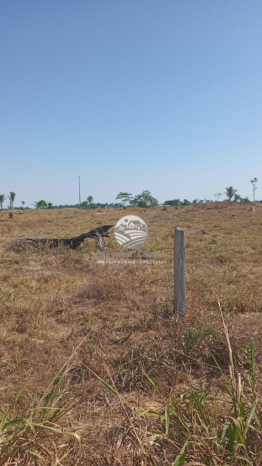 Fazenda à venda, 7980000m² - Foto 2