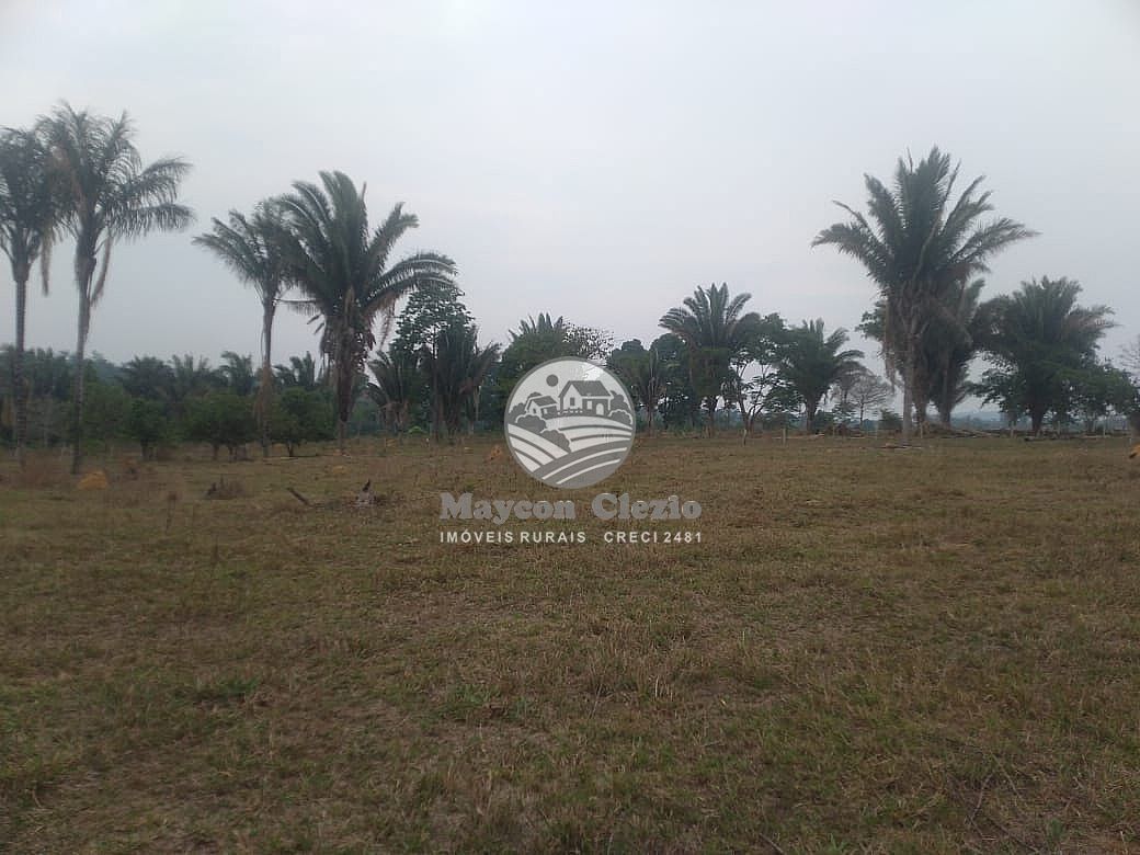 Sítio, 480000 m² - Foto 4