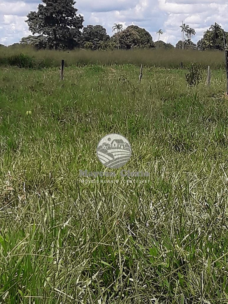 Fazenda à venda, 847000m² - Foto 9