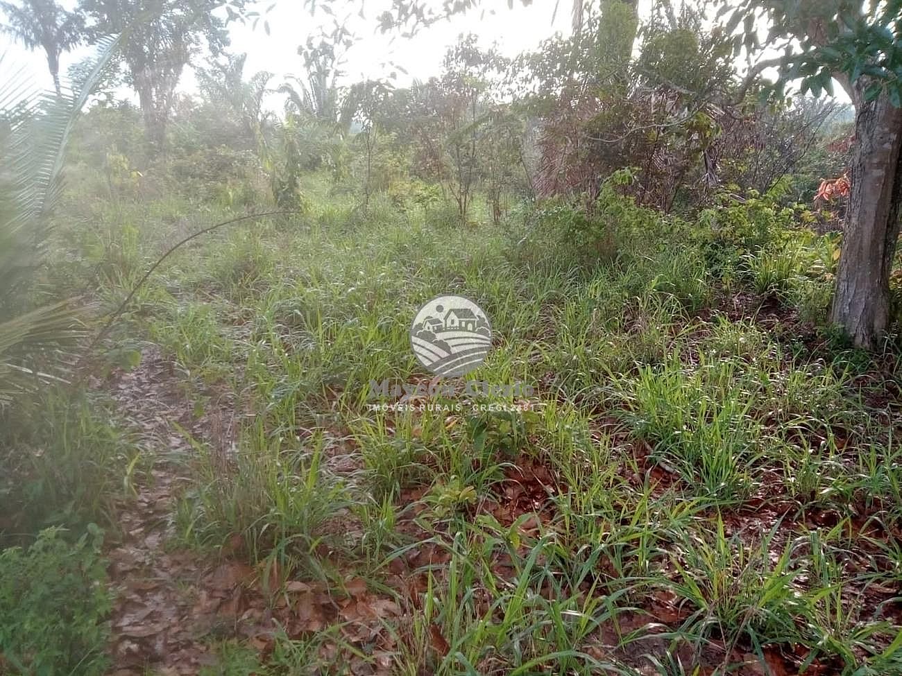 Fazenda à venda, 900000m² - Foto 16