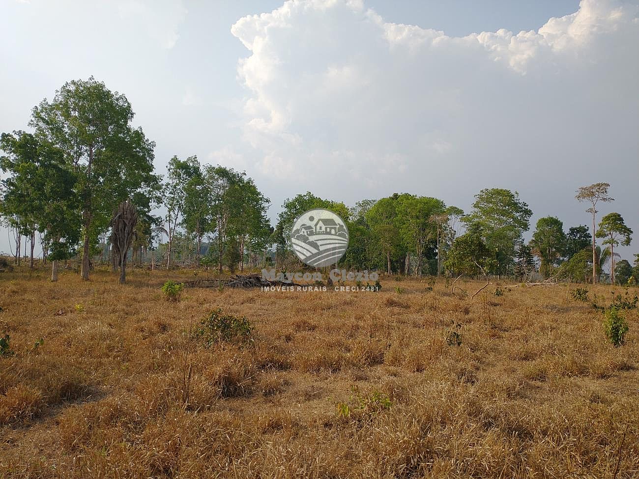 Fazenda à venda, 460000m² - Foto 9