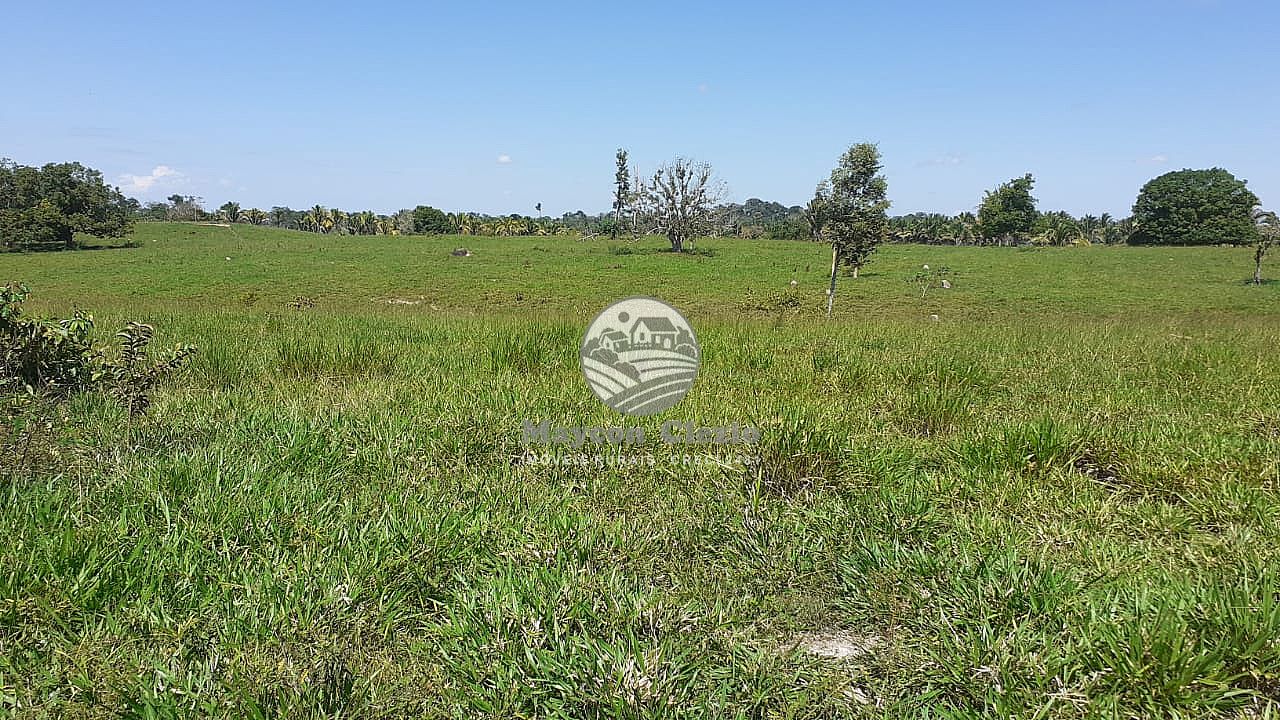 Fazenda à venda, 605000m² - Foto 10