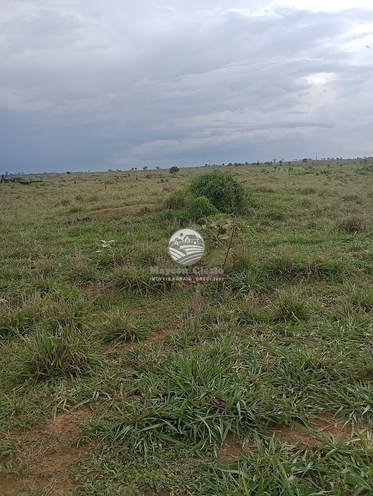 Fazenda à venda, 3000000m² - Foto 27