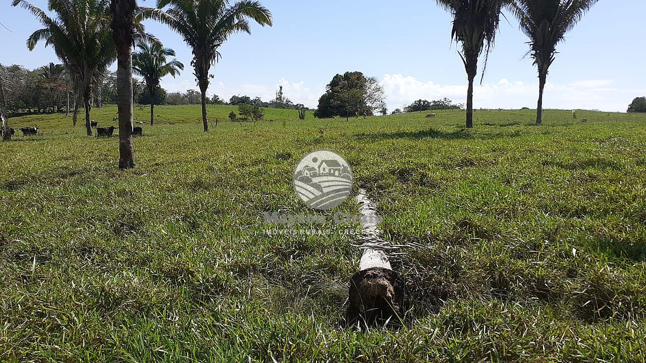 Fazenda à venda, 605000m² - Foto 13