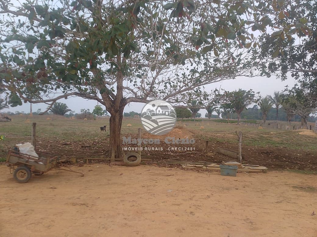 Sítio, 480000 m² - Foto 5