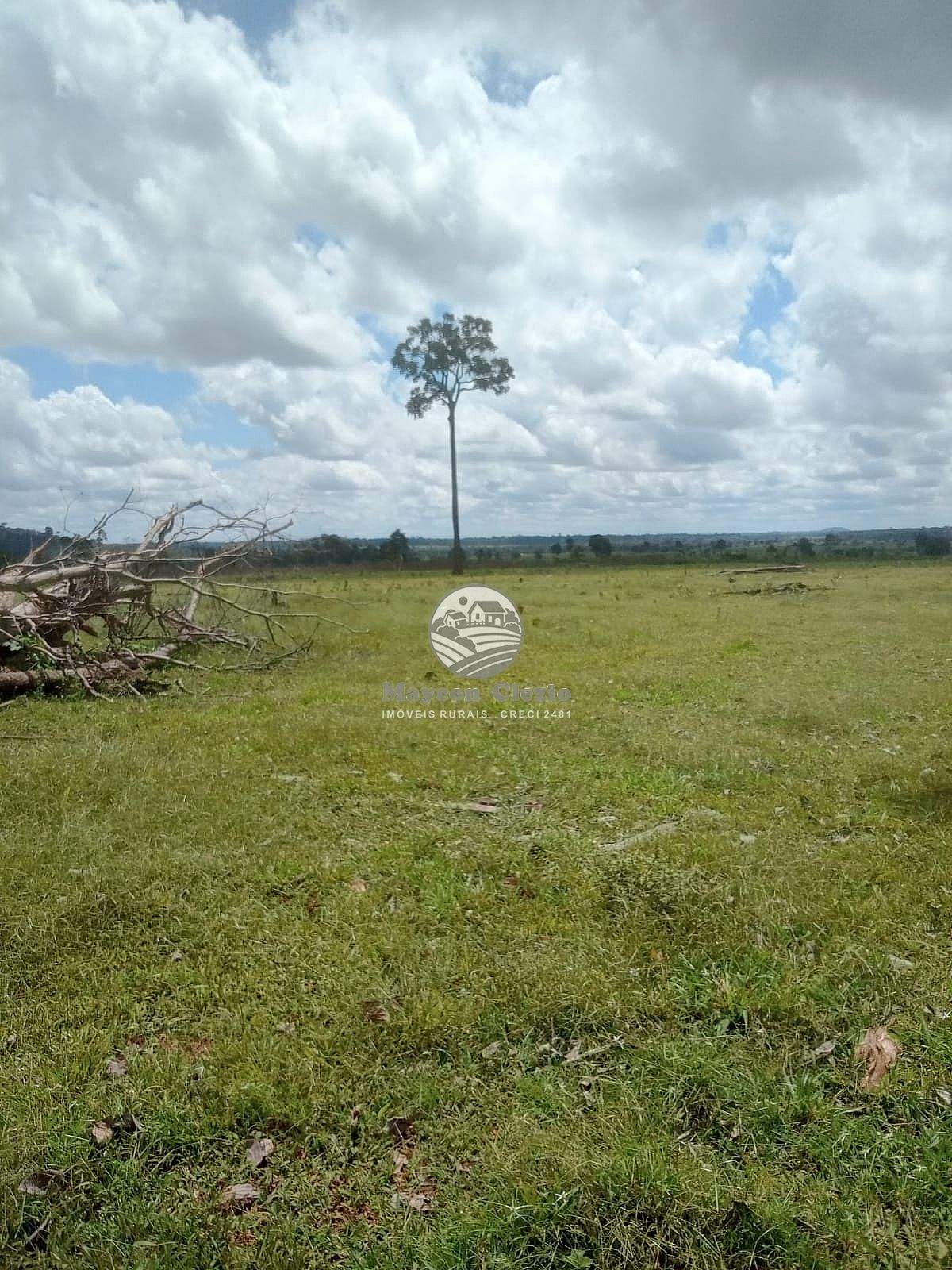 Fazenda à venda, 822000m² - Foto 13