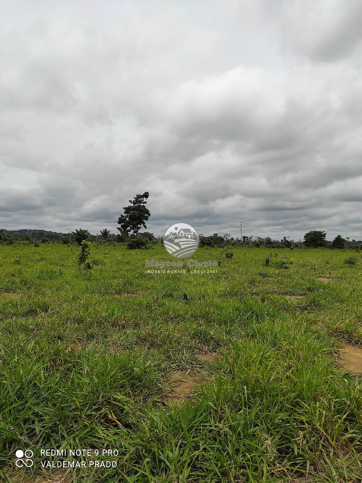 Fazenda à venda, 992000m² - Foto 11