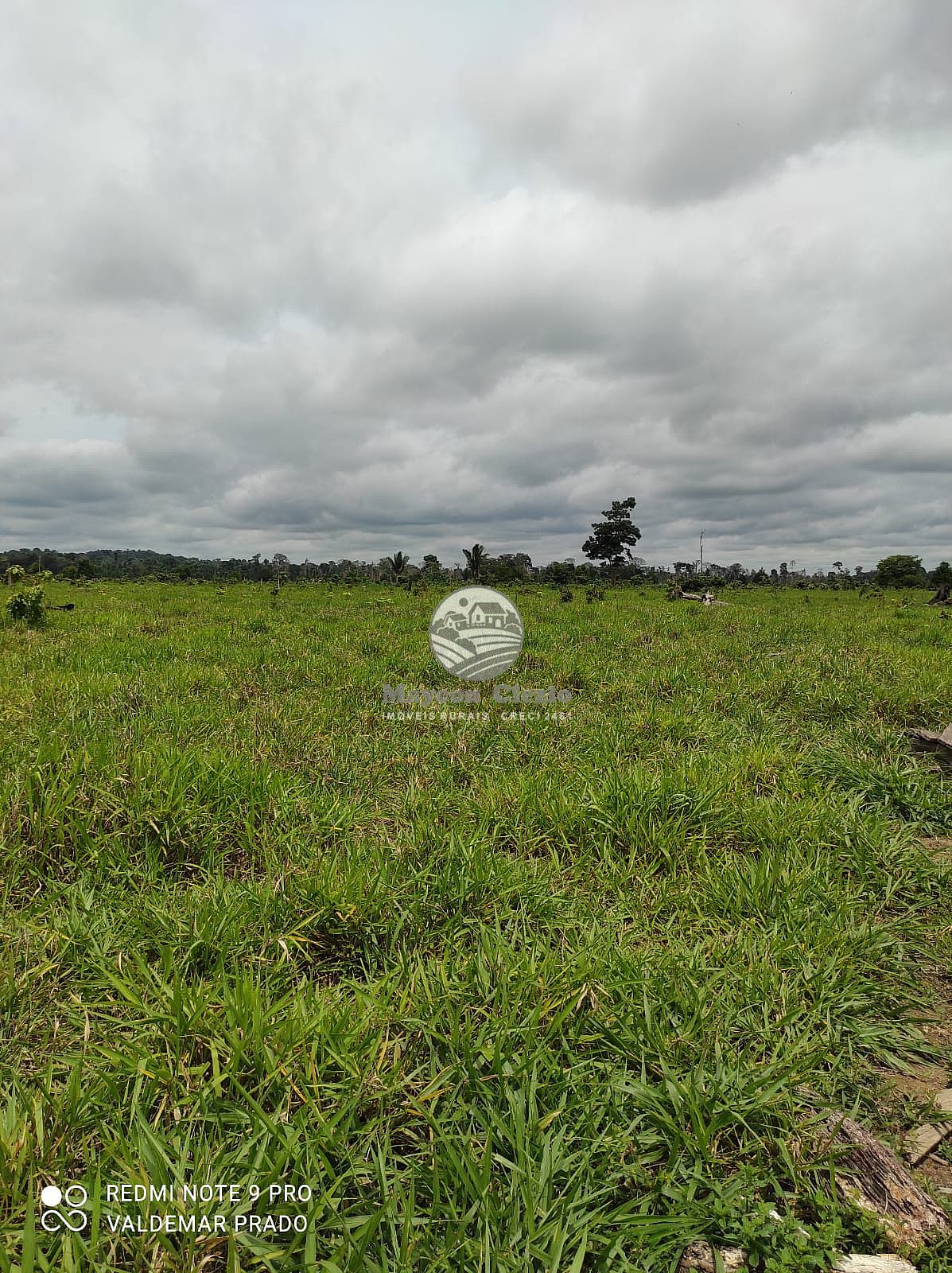 Fazenda à venda, 992000m² - Foto 15