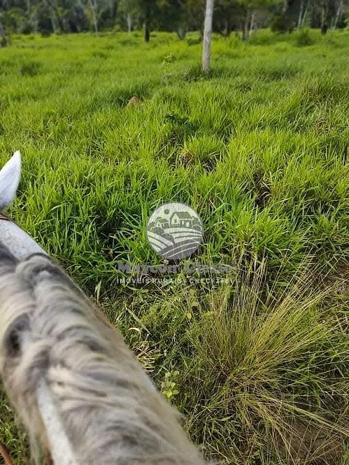 Fazenda à venda - Foto 2