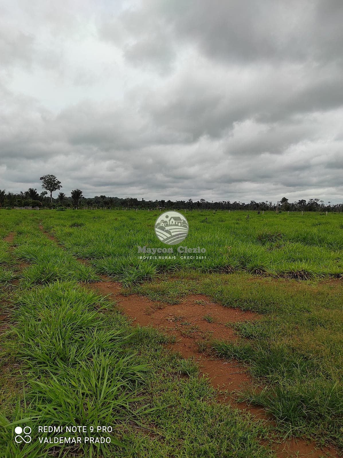 Fazenda à venda, 992000m² - Foto 20