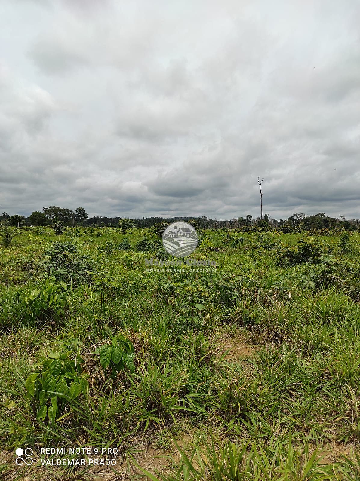 Fazenda à venda, 992000m² - Foto 25