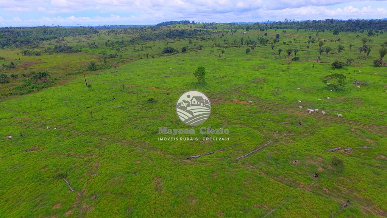 Fazenda à venda, 2030000m² - Foto 3